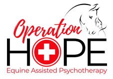 Operation HOPE Logo