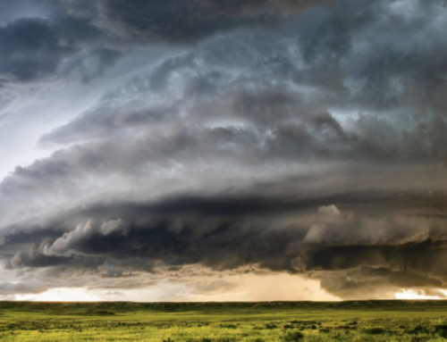 Why Equine-Assisted Psychotherapy Sessions May Be Canceled During Extreme Weather