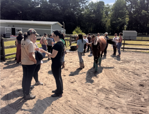 Why Connection Matters in the Helping Professions